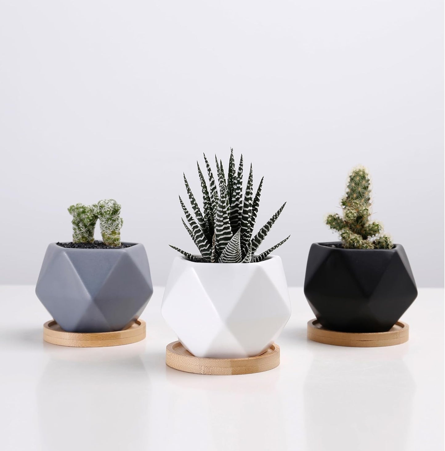 Modern Geometric Ceramic Succulent Pots 3" Planters with Drainage | Bamboo Tray | 3 Pack