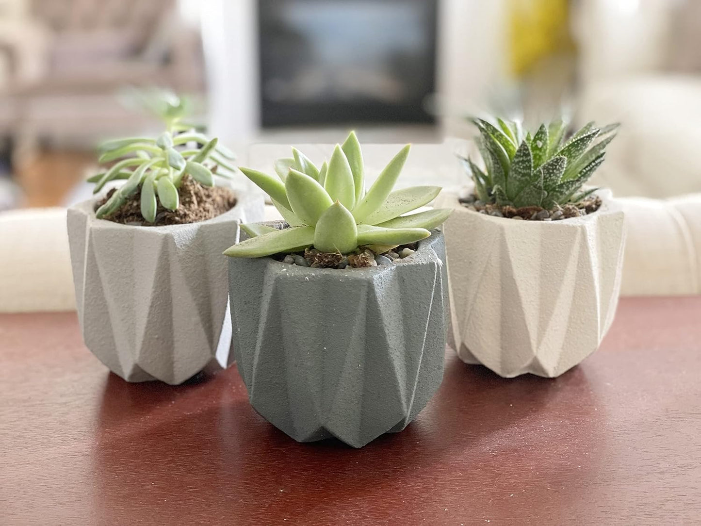 Modern Geometric Ceramic Succulent Pots 3" Planters with Drainage | Bamboo Tray | 3 Pack
