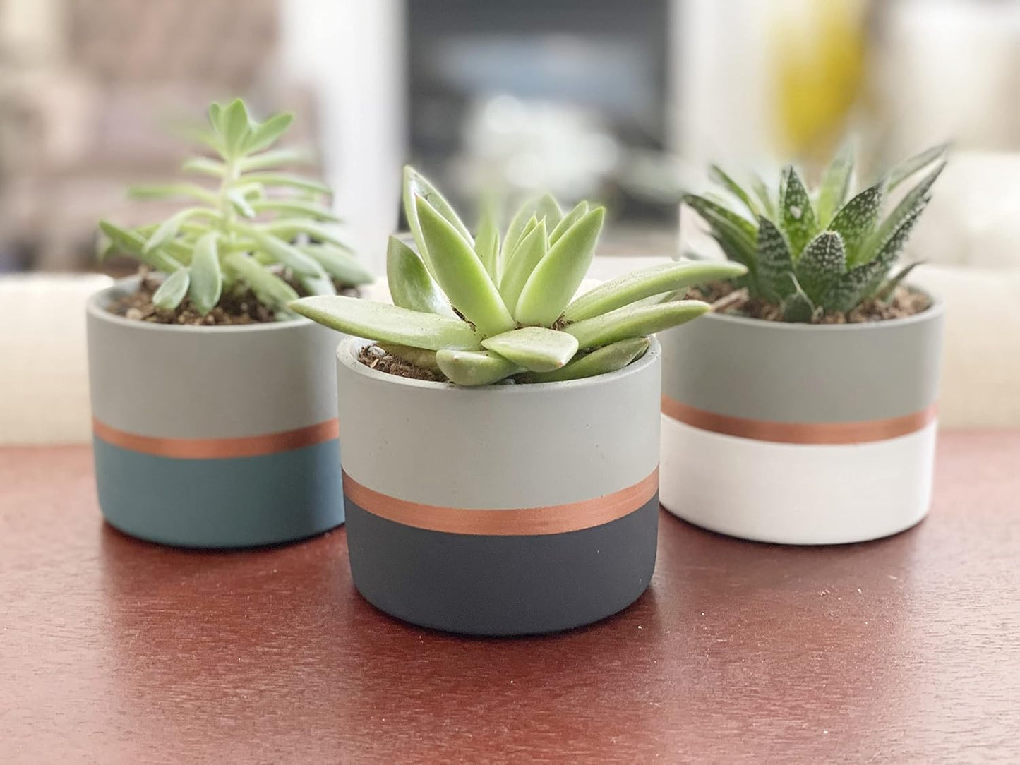 Modern Geometric Ceramic Succulent Pots 3" Planters with Drainage | Bamboo Tray | 3 Pack