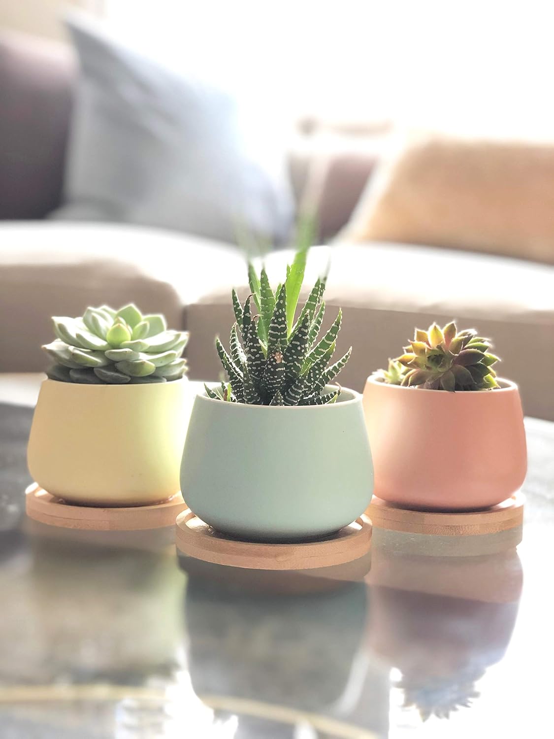Modern Geometric Ceramic Succulent Pots 3" Planters with Drainage | Bamboo Tray | 3 Pack